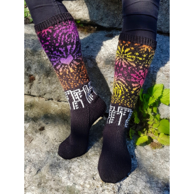 Lupaus taivaalla ohje, FIN