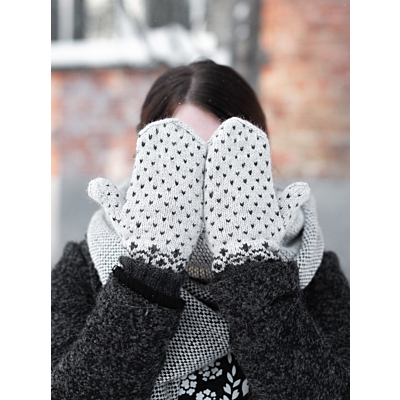 Hanki-lapaset ohje, FIN