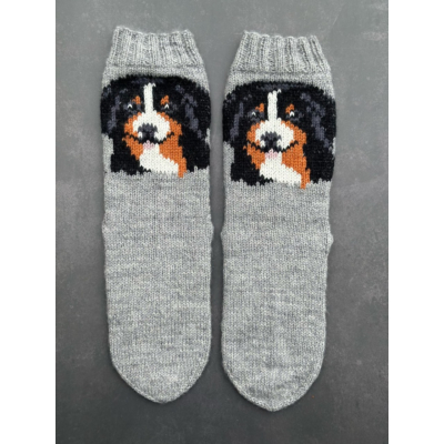 Berninpaimenkoirasukat