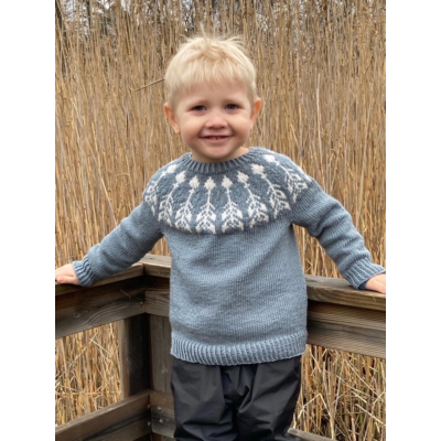 Heart of a wanderer ohje, FIN