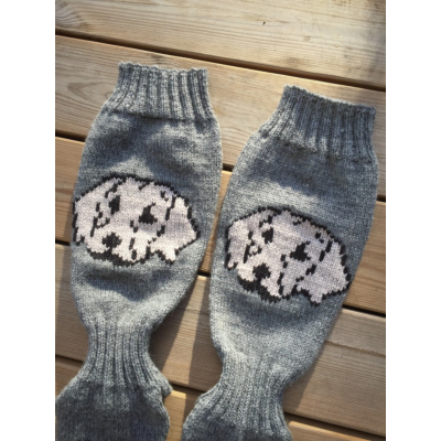 Labbis- tai noutajasukat