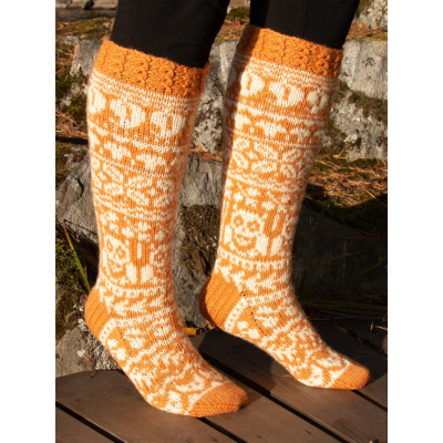 Taimitarhan Syyssukat